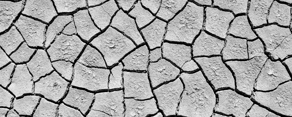 2Q25 Commentary: Unsteady Ground, Unshaken Optimism
