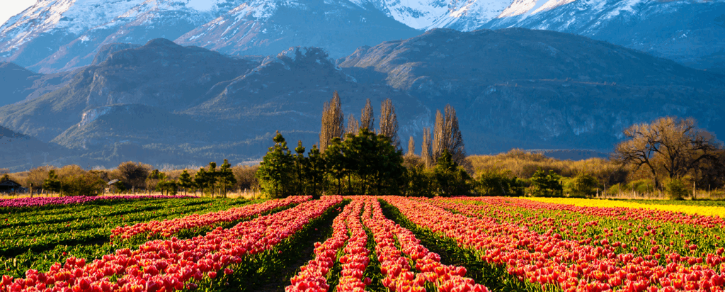 3 ETFs with the Highest/Lowest 1-Month Trailing Return as of 11/15/2025