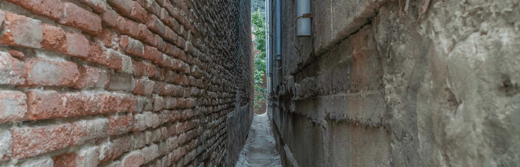 OpenAI, Sentiment, Layoffs