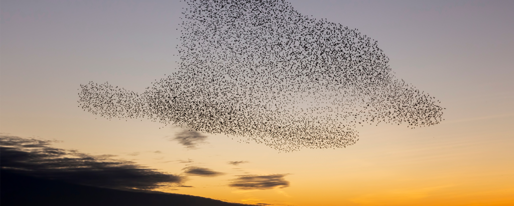 What Gambling Culture is Doing to Equity Markets